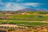 Wine country in Temecula Valley