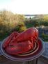 lobster dinner view