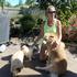 4 dogs in Edwardsville,Ill
