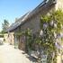 Cottages with Wisteria blooming