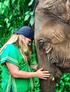 Thailand elephant sanctuary
